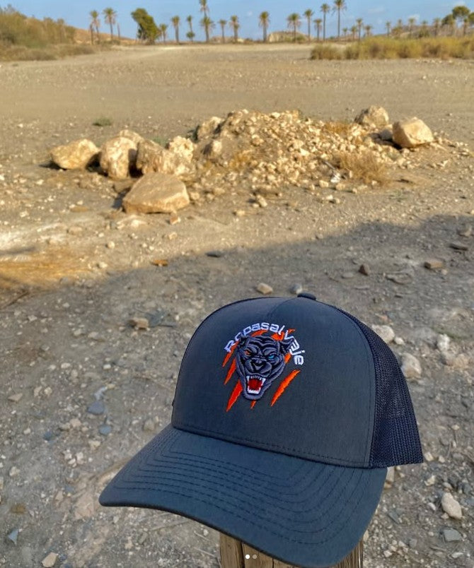 Gorra Pantera
